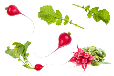 Similar image 20969914