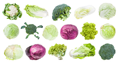 Similar image 20969922