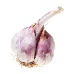 Similar image 20978110