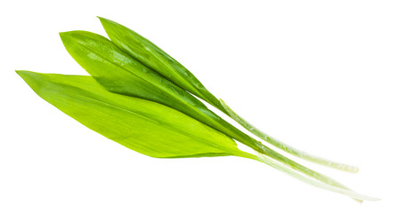 Similar image 20978113