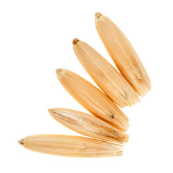 Similar image 20978118