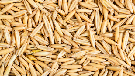 Similar image 20978120