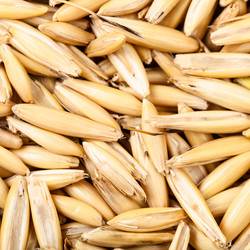 Similar image 20978123