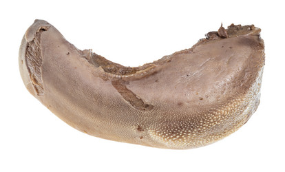 Similar image 21013024