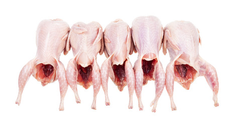 Similar image 21013151