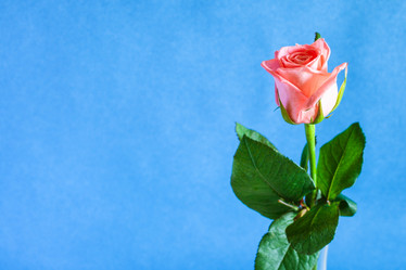 Similar image 20970498