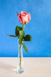 Similar image 20970499