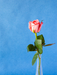 Similar image 20970500