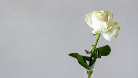 Similar image 20970501