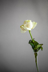 Similar image 20970504