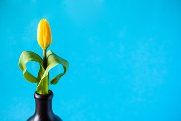 Similar image 20970506