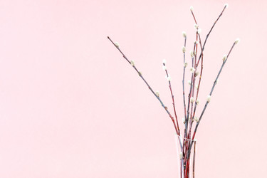 Similar image 20975884