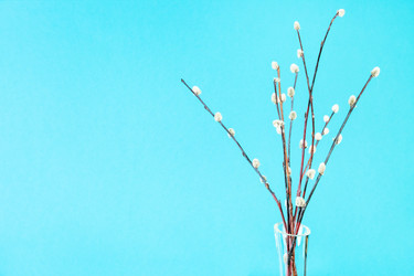 Similar image 20977270