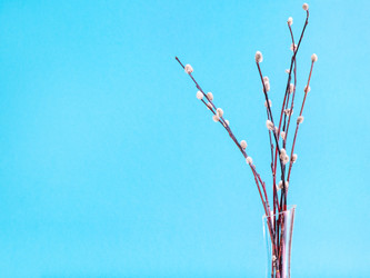 Similar image 20977312