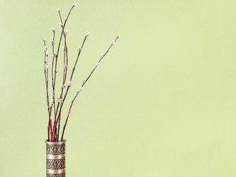 Similar image 20977369