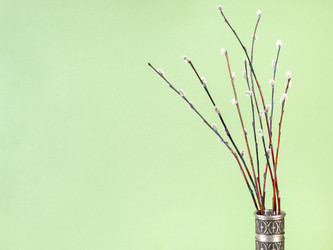 Similar image 20977371