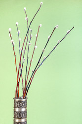 Similar image 20977372