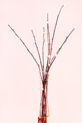 Similar image 20977374