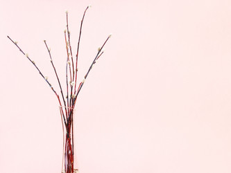 Similar image 20977376