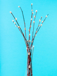 Similar image 20977378