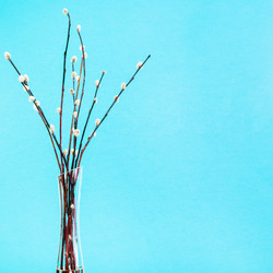 Similar image 20977380