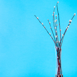 Similar image 20977381