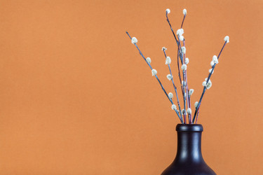 Similar image 20977668