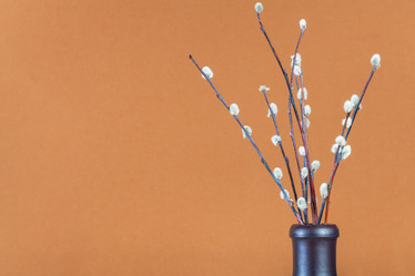 Similar image 20977670