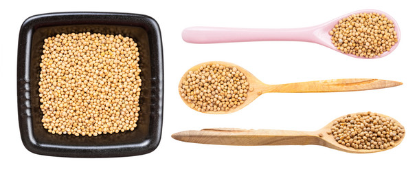 Similar image 20970519