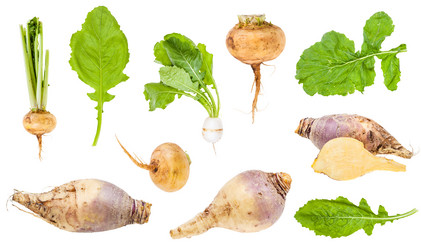 Similar image 20977390