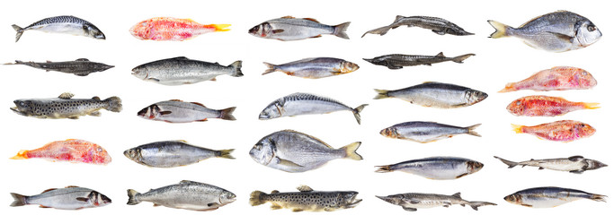 Similar image 20977681