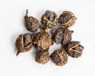 Similar image 21013028