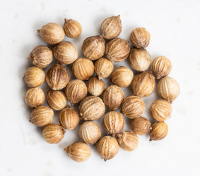 Similar image 21013287