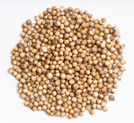 Similar image 21013288