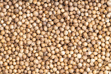 Similar image 21013329