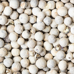 Similar image 21013405