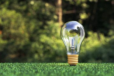 Similar image 20980918