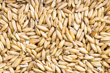 Similar image 20977683