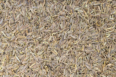 Similar image 20978146