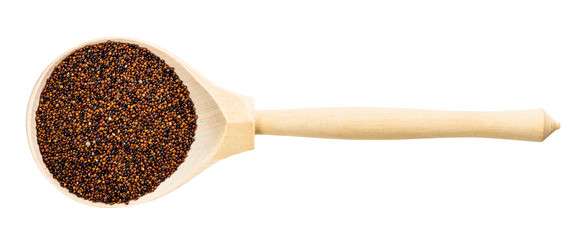 Similar image 21012860