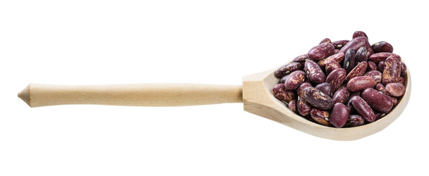 Similar image 21013032