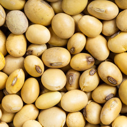 Similar image 20969955