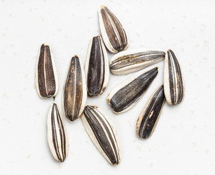 Similar image 20970549