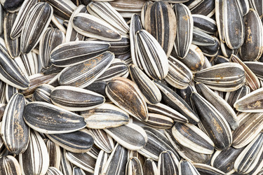 Similar image 20970551