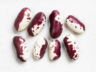 Similar image 20978168