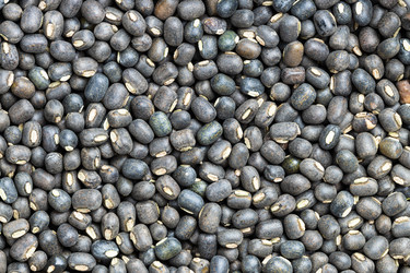 Similar image 20978334