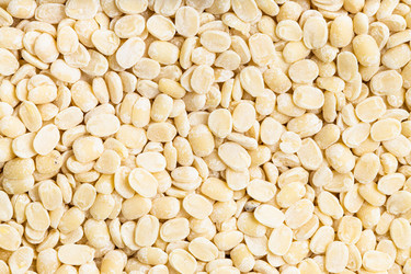 Similar image 21012877