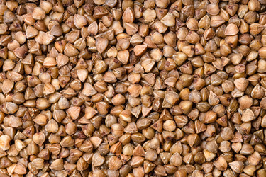 Similar image 21013570