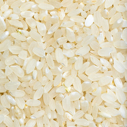 Similar image 21013571