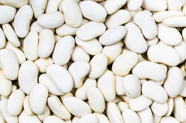 Similar image 20969257